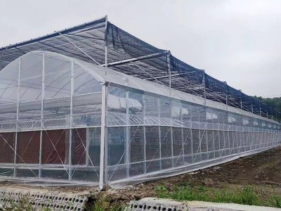外遮阳连栋大棚温室大棚骨架瓜果蔬菜种植棚连栋薄膜温室大棚图4