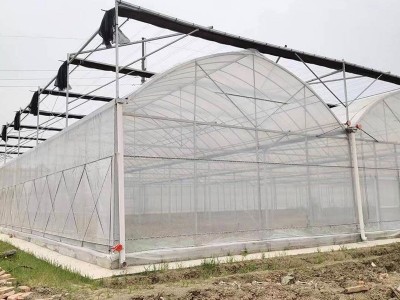 外遮阳连栋大棚温室大棚骨架瓜果蔬菜种植棚连栋薄膜温室大棚图3