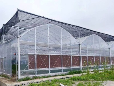外遮阳连栋大棚温室大棚骨架瓜果蔬菜种植棚连栋薄膜温室大棚图2