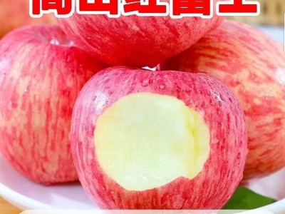 【脆甜多汁】陕西新鲜红富士苹果早熟红富士现摘苹果2斤5斤9斤图1