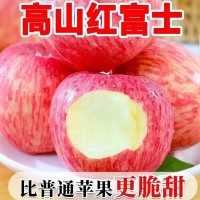 【脆甜多汁】陕西新鲜红富士苹果早熟红富士现摘苹果2斤5斤9斤