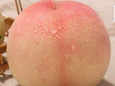 【脆甜可口】秋桃陕西高山脆桃5斤3斤9斤装现摘水蜜桃毛桃孕妇图2