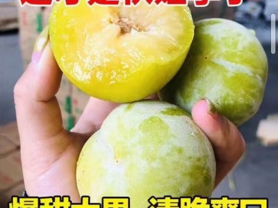 【脆甜多汁】现摘秋姬李3斤5斤陕西李子新鲜奈李水果脱骨李茵红李图1