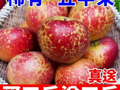 丑苹果真送大凉山冰糖心红富士脆甜批发当季新鲜水果整箱厂家直销图2