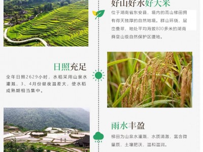 2022湖南高山梯田香米生态闭环古法种植营养健康 产地直供 5KG图2