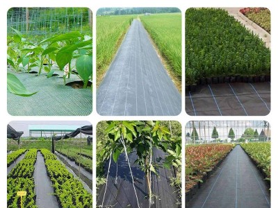 匠品批发农用PE全新园艺抑草除草地布大棚菜地果园防草布图3