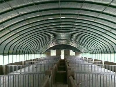 畜牧养殖大棚工程建设 猪棚 鸡棚 牛棚 鸭棚来图 上门安装图3
