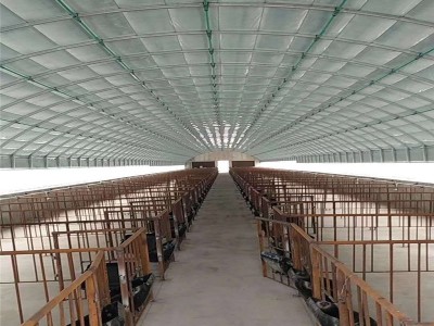 畜牧养殖大棚工程建设 猪棚 鸡棚 牛棚 鸭棚来图 上门安装图4