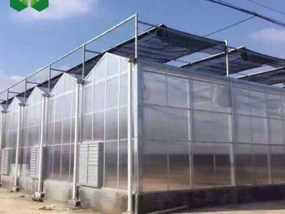 阳光板温室大棚 温室大棚 阳光板温室花房 PC阳光板温室图2