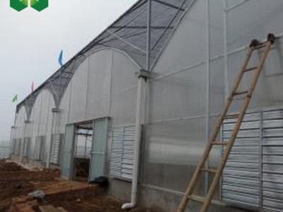阳光板温室大棚 温室大棚 阳光板温室花房 PC阳光板温室图3