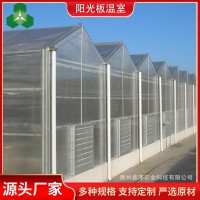 阳光板温室大棚 温室大棚 阳光板温室花房 PC阳光板温室