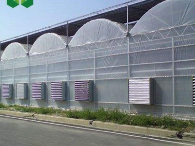 厂家蔬菜水果暖棚薄膜连栋温室大棚 简易连体薄膜温室大棚建设图2