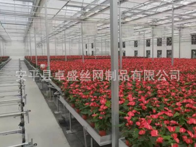 热镀锌自动化物流式苗床 温室大棚育苗物流苗床 全自动苗床 厂家图4