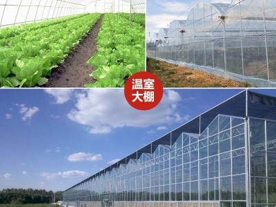 养殖大棚建设农业大棚搭建连栋温室大棚骨架大棚配件食用菌大棚图3