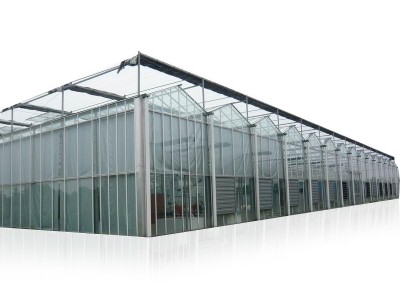 养殖大棚建设农业大棚搭建连栋温室大棚骨架大棚配件食用菌大棚图5