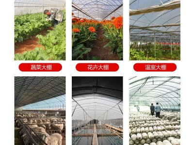 养殖大棚建设农业大棚搭建连栋温室大棚骨架大棚配件食用菌大棚图4