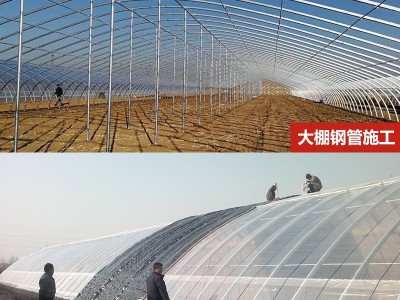 养殖大棚建设农业大棚搭建连栋温室大棚骨架大棚配件食用菌大棚图2