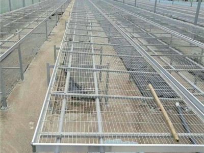 热镀锌移动苗床 大棚温室植物苗床 种植工艺花卉苗床育苗温室苗床图3