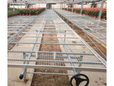 热镀锌移动苗床 大棚温室植物苗床 种植工艺花卉苗床育苗温室苗床图5