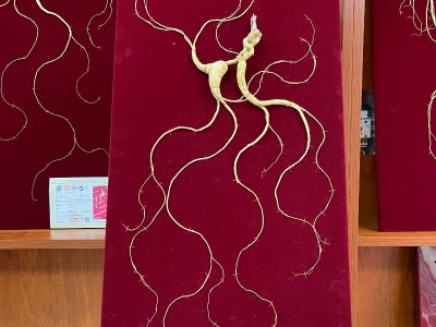 国检野山参一等百草之王林下参干参长白山正宗东北野人参28年批发图2