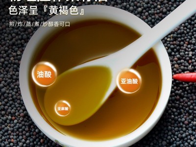 醇香菜籽油 5L桶装浓香菜籽油 物理压榨非转基因菜籽油食用油批发图3