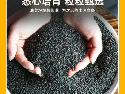 醇香菜籽油 5L桶装浓香菜籽油 物理压榨非转基因菜籽油食用油批发图2