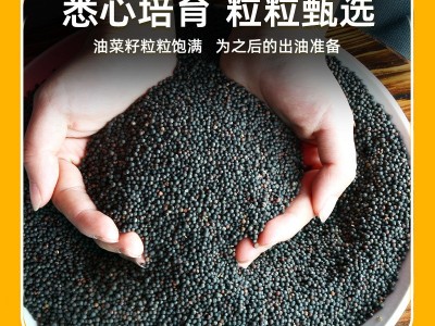 娃娃鱼醇香菜籽油 物理压榨非转基因菜籽油 5L桶装家用食用油批发图3
