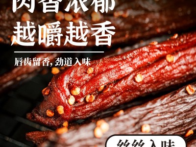 牛肉干风干手撕牛肉厂家景区展会特产零食散装风干猪肉脯休闲食品图4
