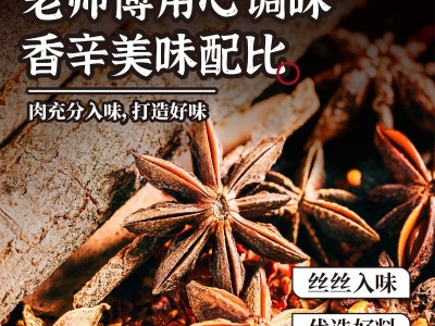 牛肉干风干手撕牛肉厂家景区展会特产零食散装风干猪肉脯休闲食品图5