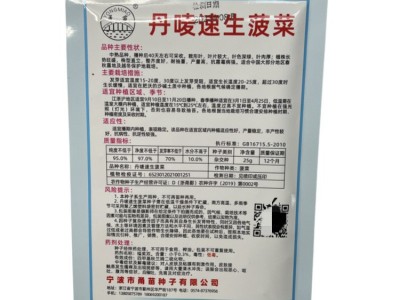 批发丹唛速生菠菜种子蔬菜秋冬籽种阳台种籽菜种盆栽波菜孑菜籽子图2