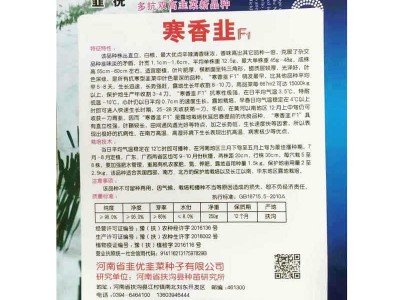 寒香韭菜农田菜园蔬菜种子高产易种250g寒香韭菜种子批发图3