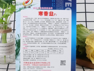 寒香韭菜农田菜园蔬菜种子高产易种250g寒香韭菜种子批发图2