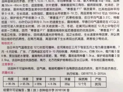 寒香韭菜农田菜园蔬菜种子高产易种250g寒香韭菜种子批发图4