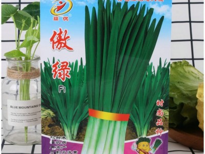 韭菜傲绿菜园特色韭菜种子大棚露地蔬菜250克耐寒耐虫害韭菜种子图3