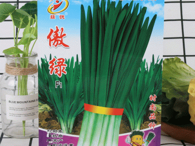 韭菜傲绿菜园特色韭菜种子大棚露地蔬菜250克耐寒耐虫害韭菜种子图1