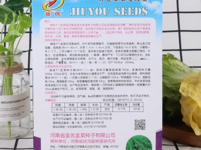韭菜傲绿菜园特色韭菜种子大棚露地蔬菜250克耐寒耐虫害韭菜种子图2
