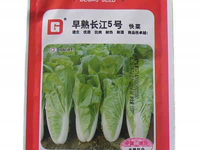 蔬菜种子公司供应优质小白菜种子德高早熟长江5号快菜种耐热耐湿图2
