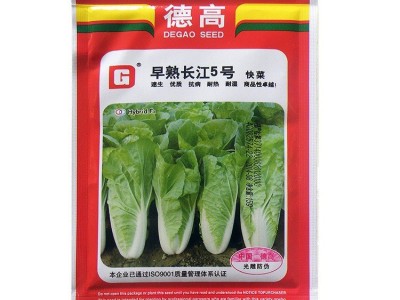 蔬菜种子公司供应优质小白菜种子德高早熟长江5号快菜种耐热耐湿图3