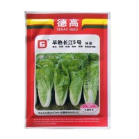 蔬菜种子公司供应优质小白菜种子德高早熟长江5号快菜种耐热耐湿