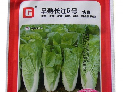 蔬菜种子公司供应优质小白菜种子德高早熟长江5号快菜种耐热耐湿图4