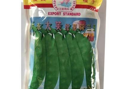 蔬菜种子批发豌豆种子中早熟广联大荚红花荷兰豆豌豆种子品种籽图2