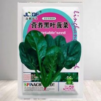 营养黑叶菠菜种子春秋冬季四季播种耐寒耐热大圆叶菠菜籽蔬菜种子