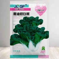 原装黑油奶白菜种子四季种植黑油冬乌黑白菜秋冬蔬菜种子耐热耐寒