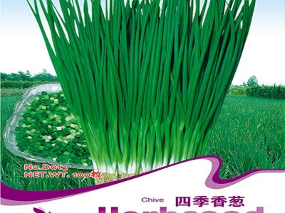 批发蔬菜种子四季小香葱大葱洋葱约100粒按斤家庭阳台菜园图2