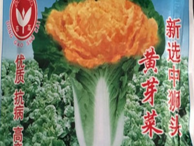 批发蔬菜快菜38天大白菜种子娃娃菜生长期38--40天成熟10克装图4