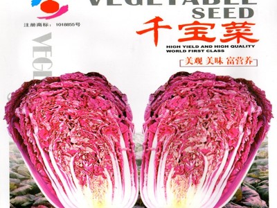 批发蔬菜快菜38天大白菜种子娃娃菜生长期38--40天成熟10克装图3