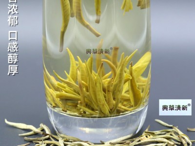 2023年新茶茉莉花茶叶茶芽云南元江茉莉白毫银针浓香茉莉毛尖图4