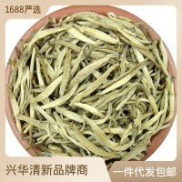 2023年新茶茉莉花茶叶茶芽云南元江茉莉白毫银针浓香茉莉毛尖