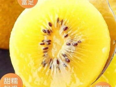 黄心猕猴桃新鲜包邮四川蒲江奇异果正宗时令鲜果水果当季整箱大果图3