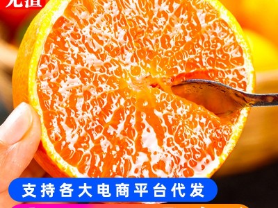 爱媛38号果冻橙新鲜橙子当季水果四川柑橘蜜桔子5斤整箱大果包邮图3